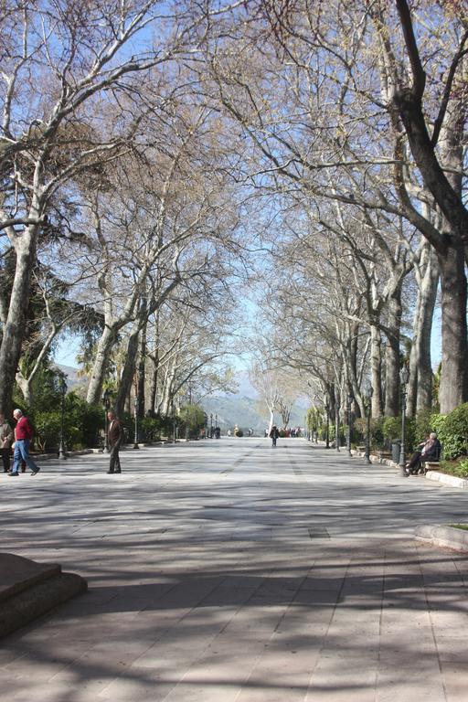 Royal Centro De